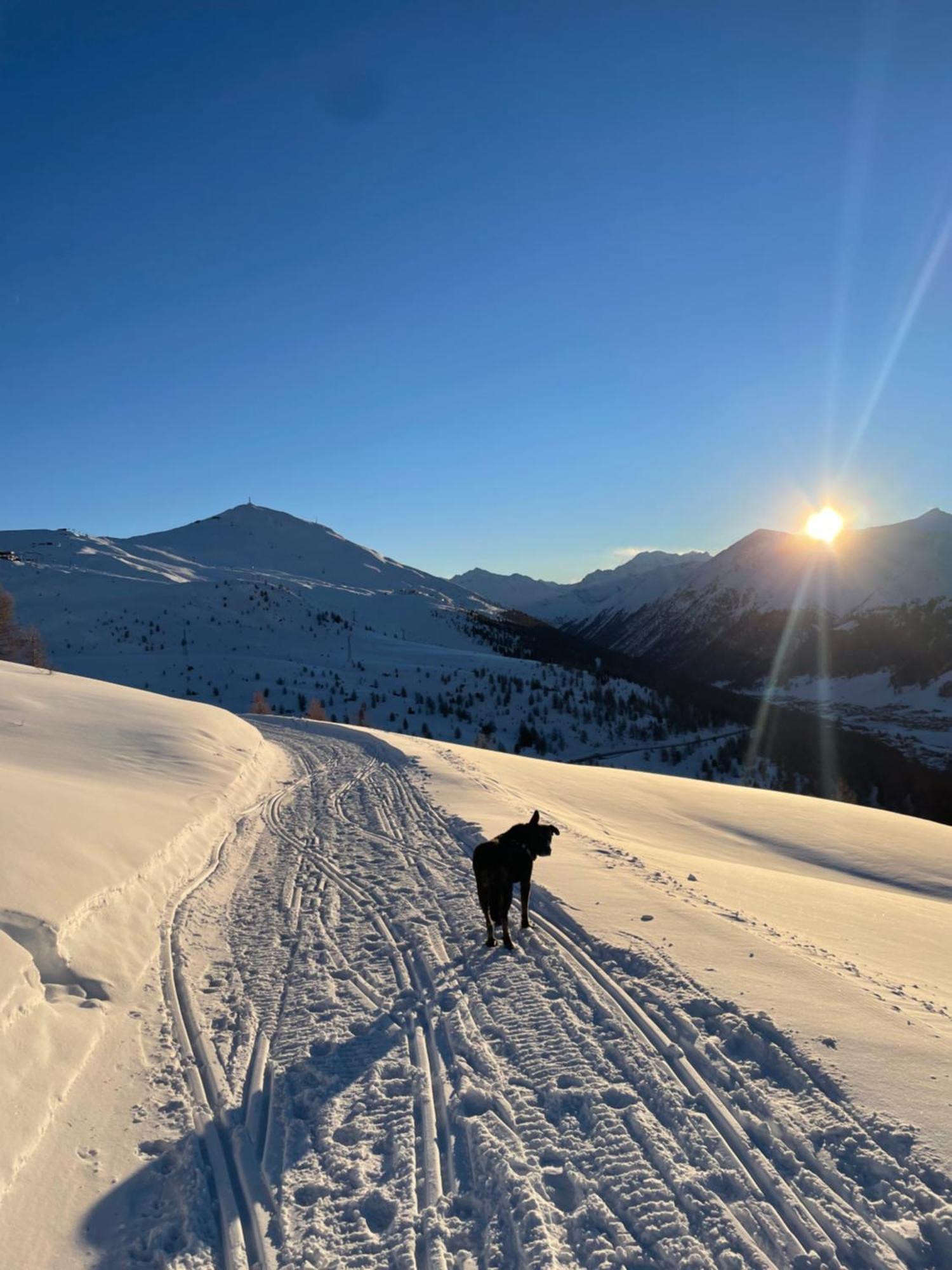 Residence S Lucia - Appartamenti Alle Porte Di Bormio Valdisotto Exterior foto